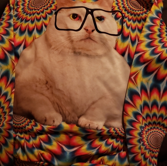 Cat Sweater - Picture 1 of 1